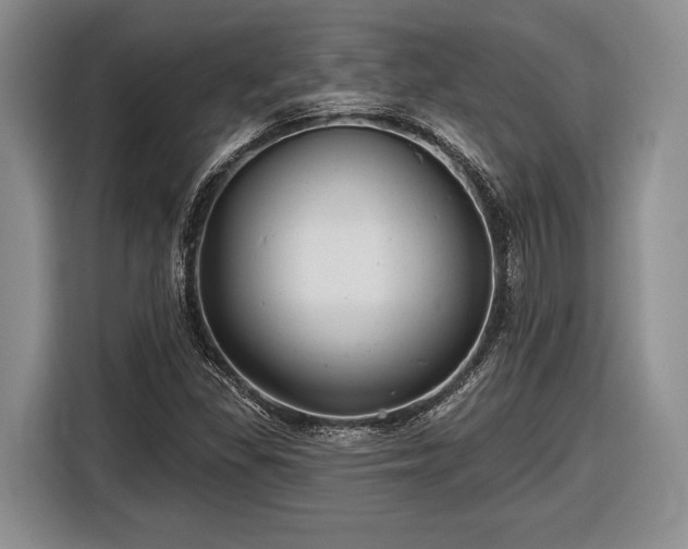 X0000116611309200912181158