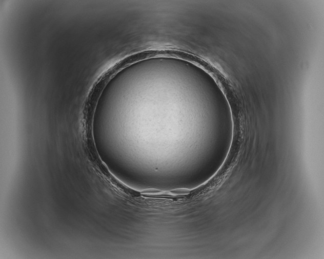 X0000116611311200912181158