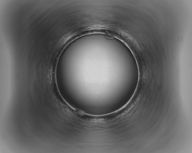 X0000116611313200912181158