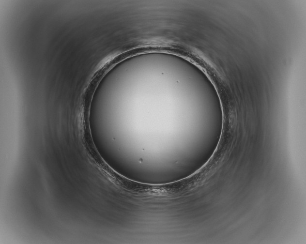 X0000116611315200912181158