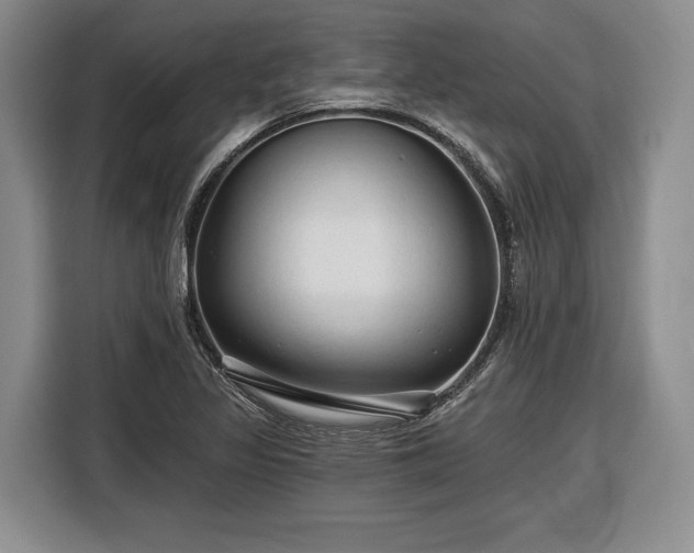 X0000116611317200912181158