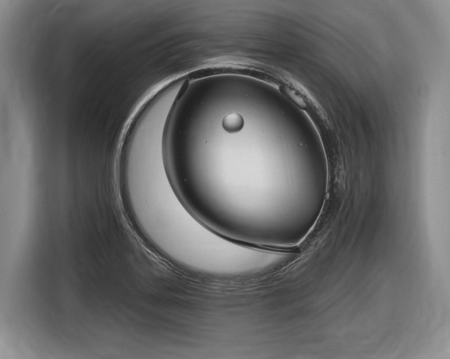 X0000116611323200912181158