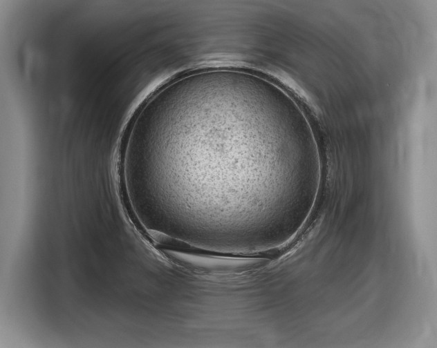 X0000116611325200912181158
