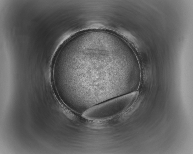 X0000116611326200912181158