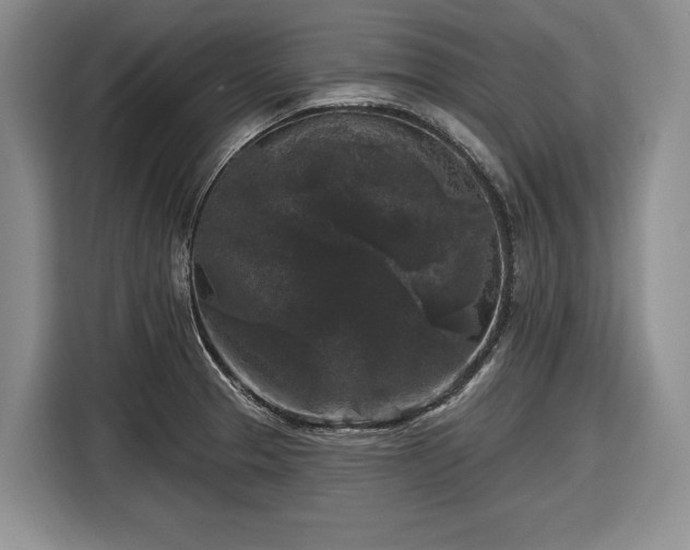 X0000116611329200912181158