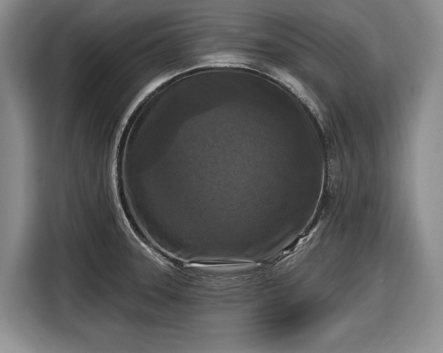 X0000116611331200912181158