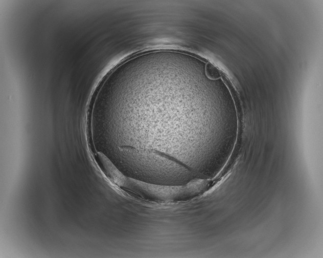 X0000116611333200912181158