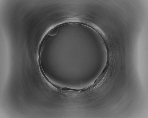 X0000116611334200912181158