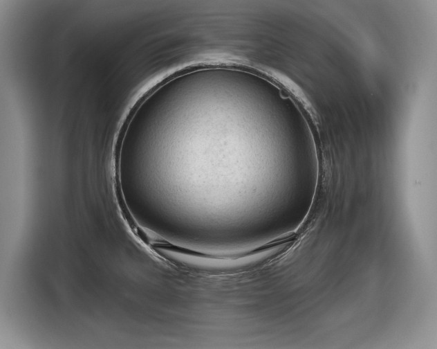 X0000116611335200912181158