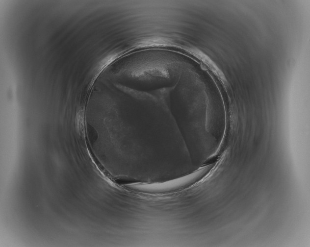 X0000116611337200912181158