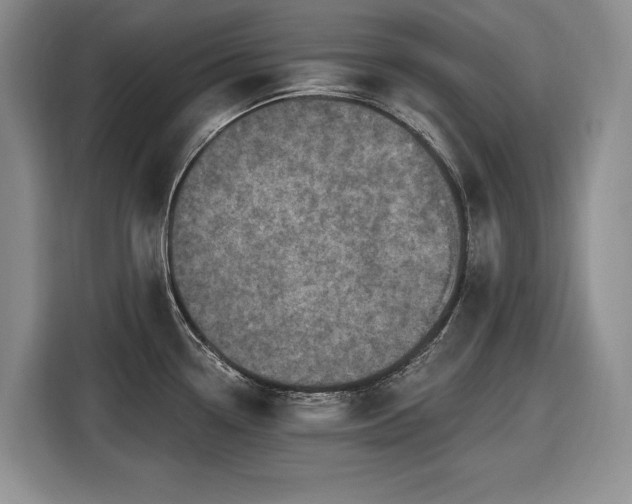 X0000116611338200912181158