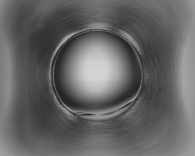 X0000116611339200912181158