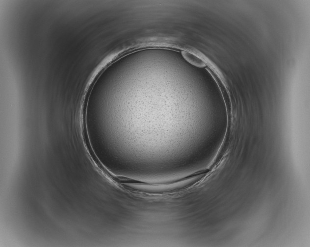 X0000116611341200912181158