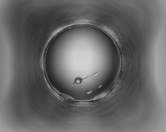X0000116611342200912181158