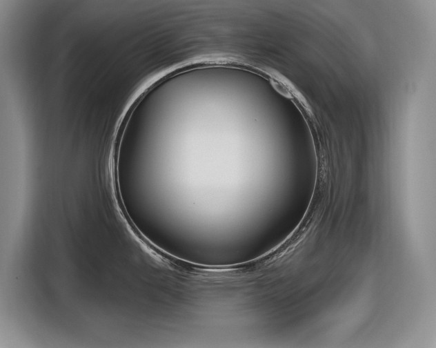 X0000116611343200912181158