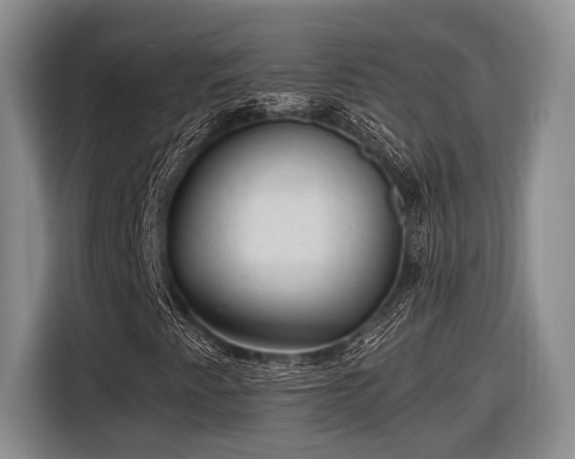 X0000116611345200912181158