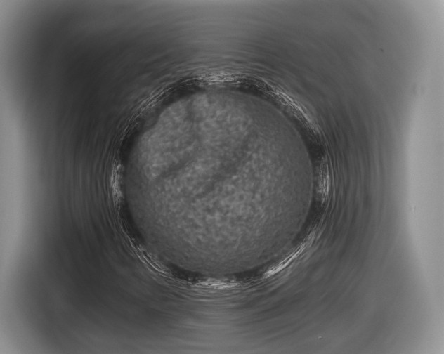 X0000116611346200912181158