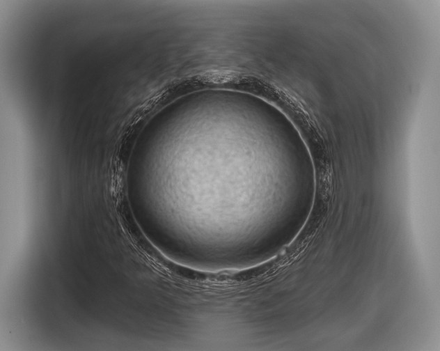 X0000116611349200912181158