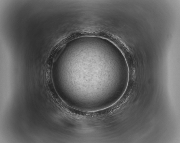 X0000116611350200912181158