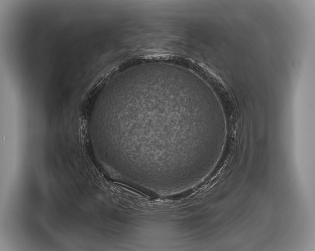 X0000116611351200912181158