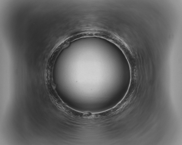 X0000116611352200912181158