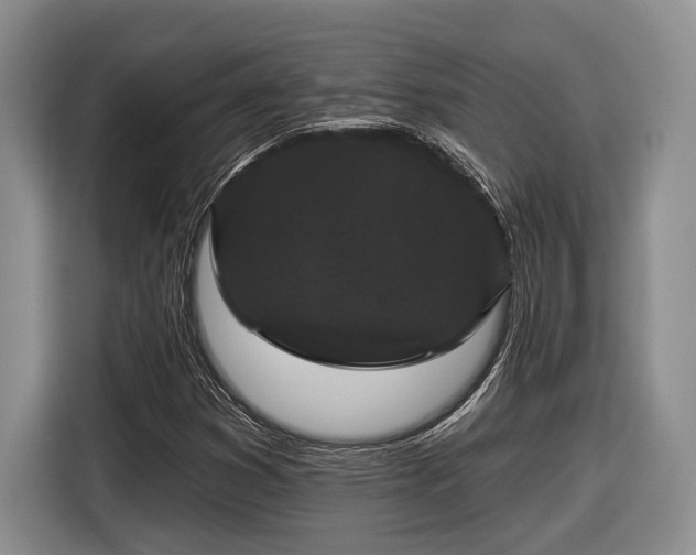 X0000116611353200912181158