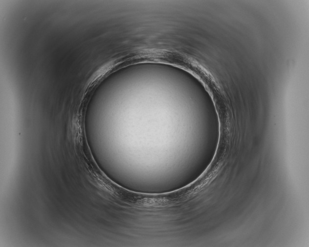 X0000116611354200912181158