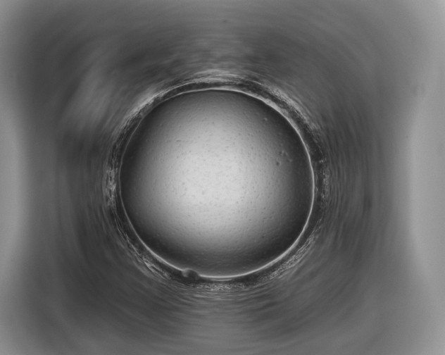 X0000116611355200912181158