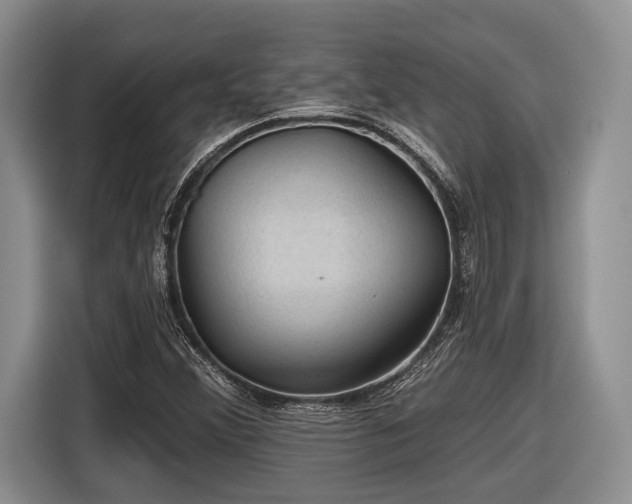 X0000116611356200912181158
