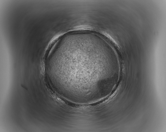 X0000116611358200912181158