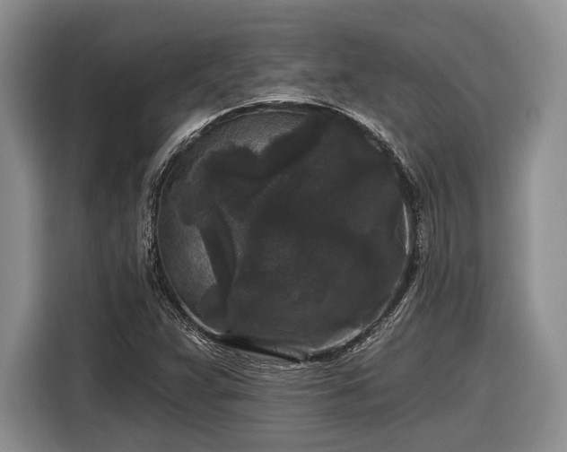 X0000116611359200912181158
