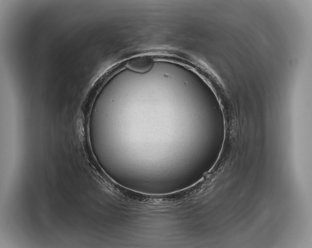 X0000116611360200912181158