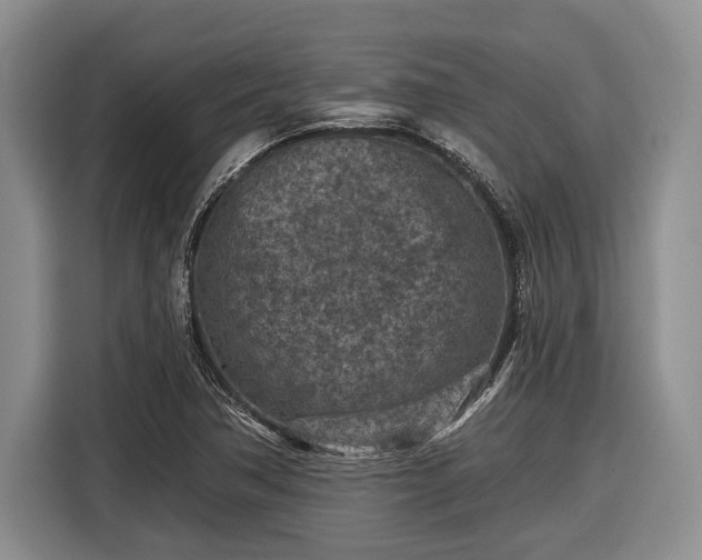 X0000116611362200912181158