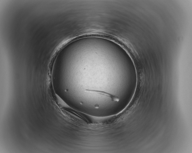 X0000116611363200912181158
