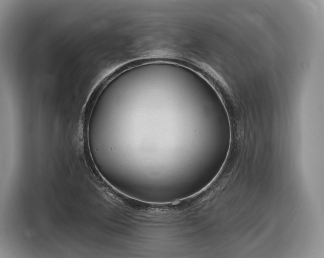 X0000116611364200912181158