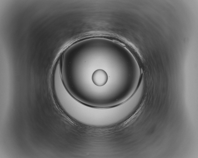 X0000116611365200912181158