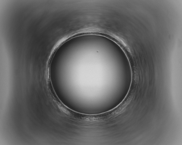 X0000116611366200912181158