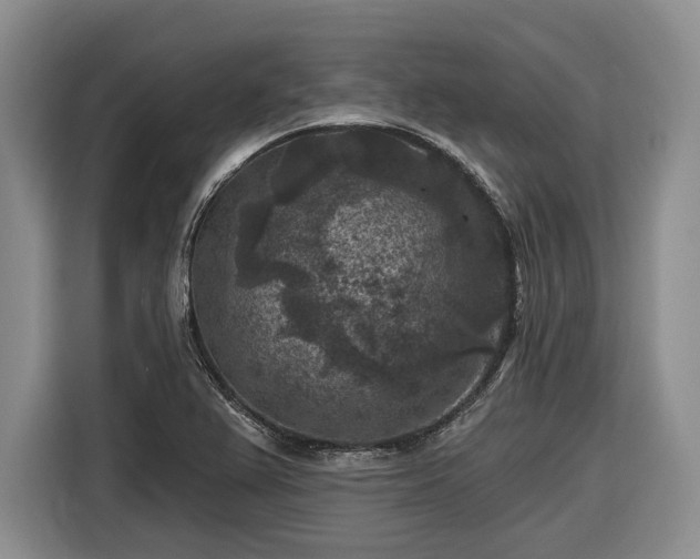 X0000116611367200912181158