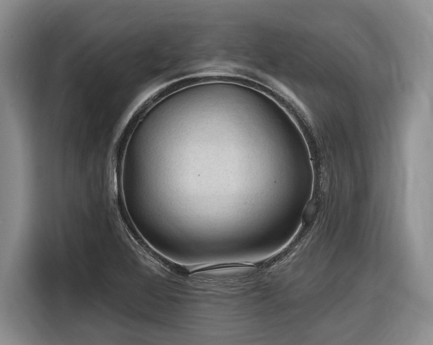 X0000116611368200912181158