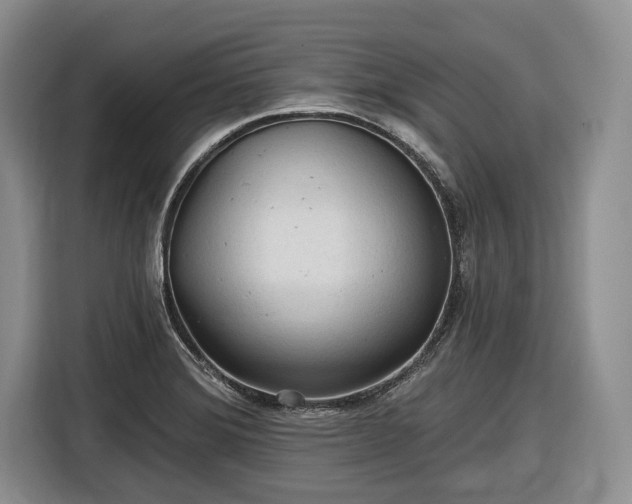 X0000116611372200912181157