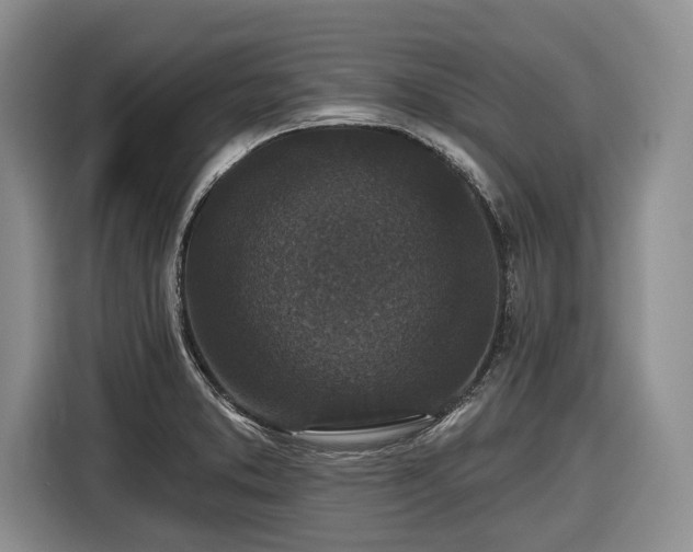 X0000116611373200912181157