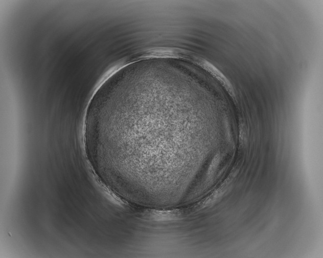 X0000116611378200912181157