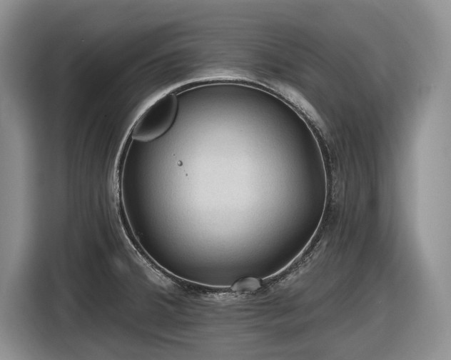 X0000116611380200912181157