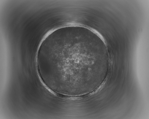 X0000116611381200912181157