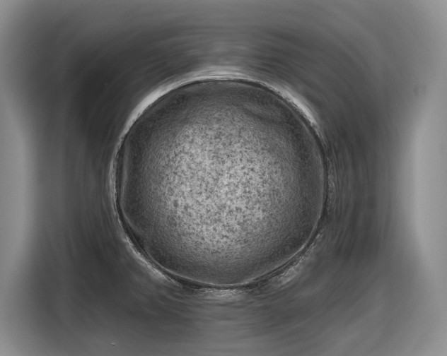 X0000116611382200912181157