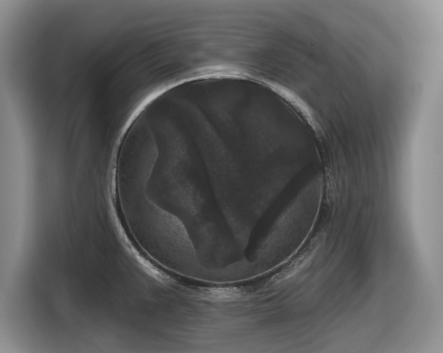 X0000116611383200912181157