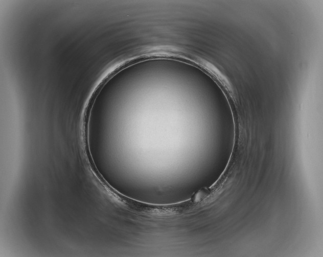 X0000116611384200912181157
