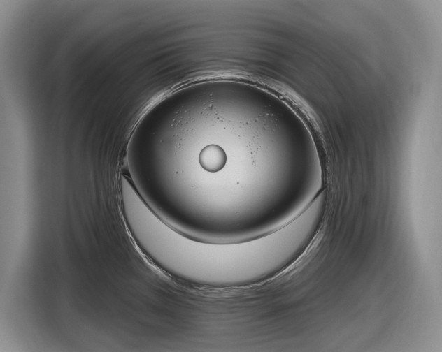 X0000116611385200912181157