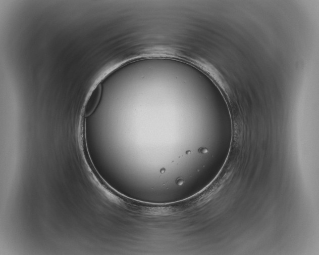 X0000116611387200912181157