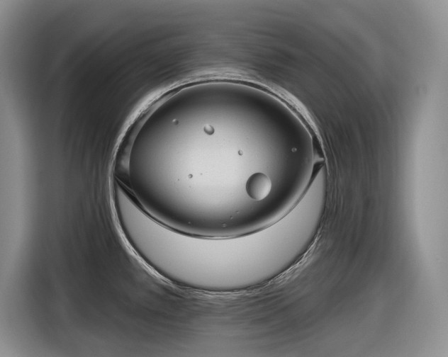 X0000116611389200912181157
